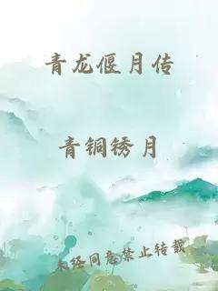 青龙偃月传小说封面 青龙偃月传